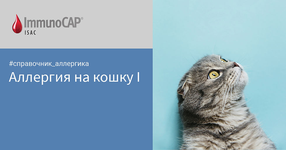Аллергия на котиков