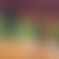 SU softball sweeps the first day of the Salisbury Tournament