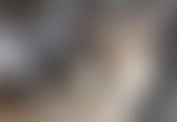 The Hidden Life of Wolves   