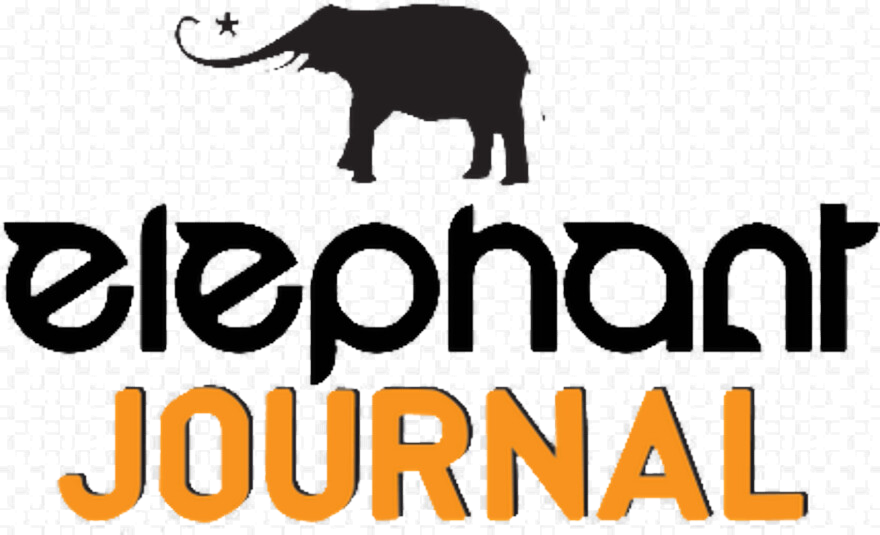 Elephant Journal- Article by professor Thalma lobel - Productivity, Working from home, Taking a break