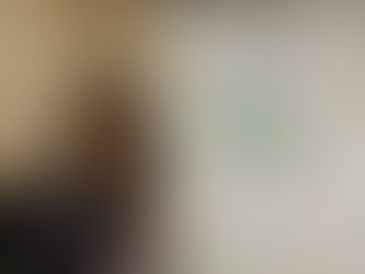 Одржано прво онлајн предавање у склопу активности Конфуцијеве учионице у Гимназији