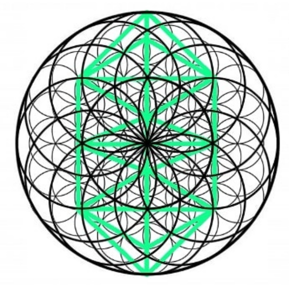 The flower of life encoding the Kathara grid(10/12 tree grid)