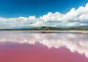 Lac rose Retba du Sénégal
