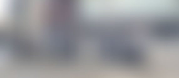 Day outing at Adelaide Oval