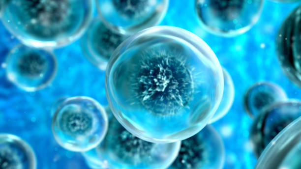 2-Day Virtual Seminar Method Development and Validation for Assays Supporting Testing of Biologics content media