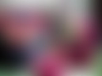 10 Ways To Sneak Some Extra Fruits and Vegetables into Your Family’s Diet