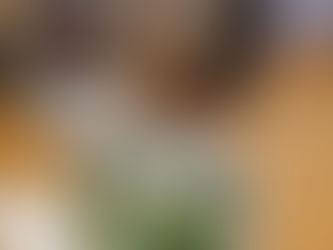 あけましておめでとうごさいます