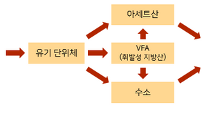 세균이 물을 깨끗하게 만들어준다고?
