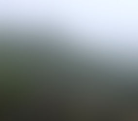 初登山