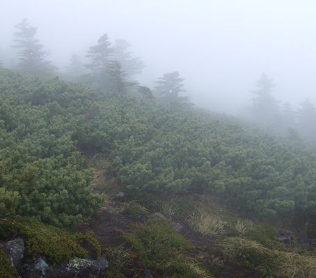 初登山