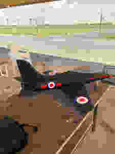 Black Dog