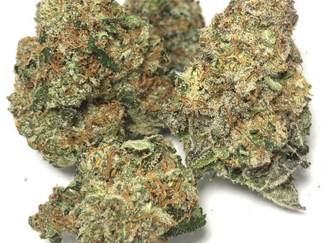 Apple Fritter - Joint Delivery