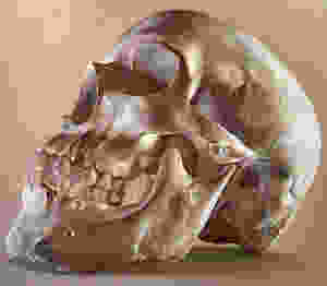 Amazing Skull by Street and Mural Artist Sam Bates aka Smug One