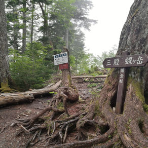 三股登山道のまめうち平から下へ草刈り 2019/6/22