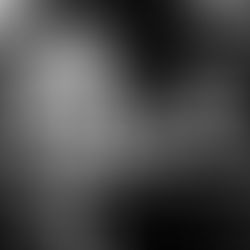 S.P.F. is back with a new single "D.o.A."