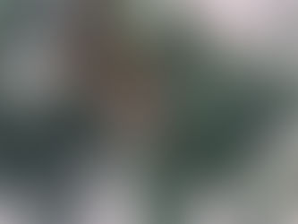 December 2019 Grey Matters