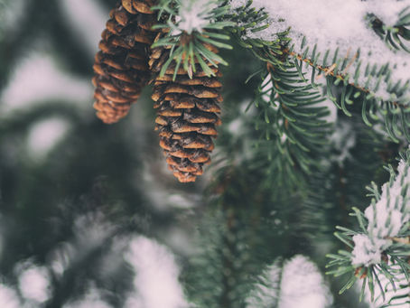 December 2019 Grey Matters