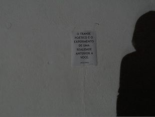 Ando como uma garça-antílope ou “A queda do céu”