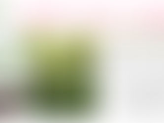 ゆめの木ガーデンだより