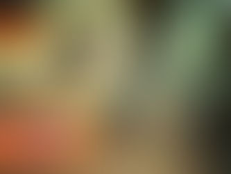 ドイツのトレーニング