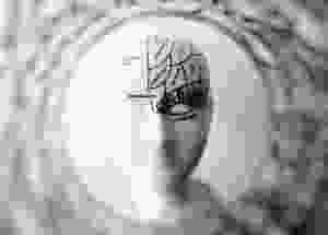 Cómo aprende nuestro cerebro