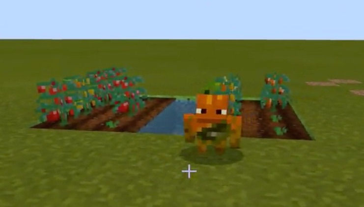 ree