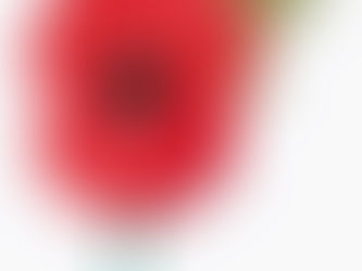 Remembrance Sunday, 8th November