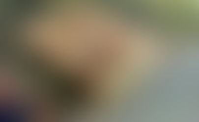 Top 10 of Diocletian's Palace