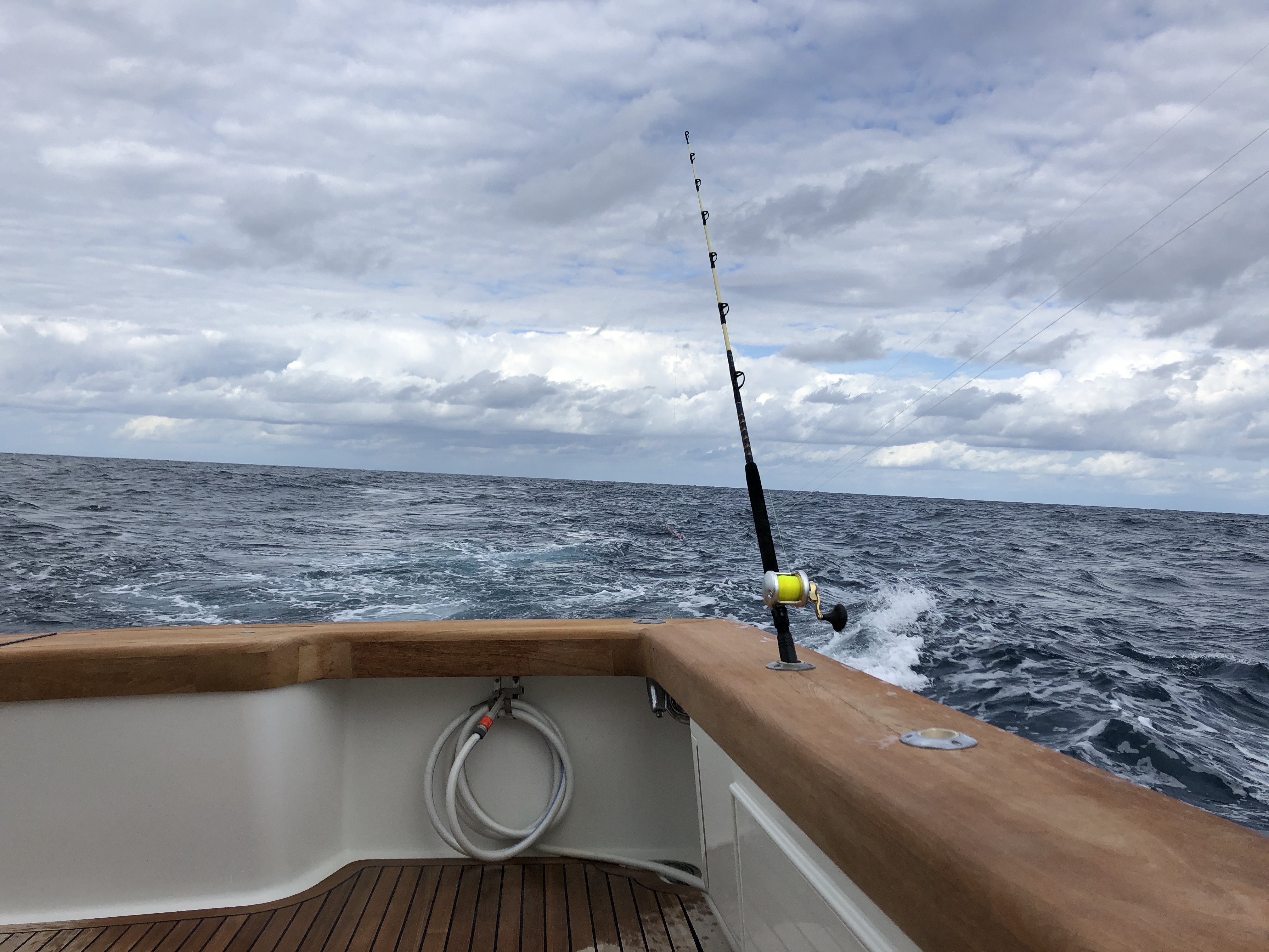 Spearfishing for Tuna - Mexico Bound content media