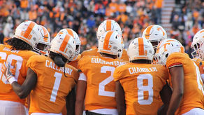 The Calm Before the Storm: Awaiting the 2019 Season
