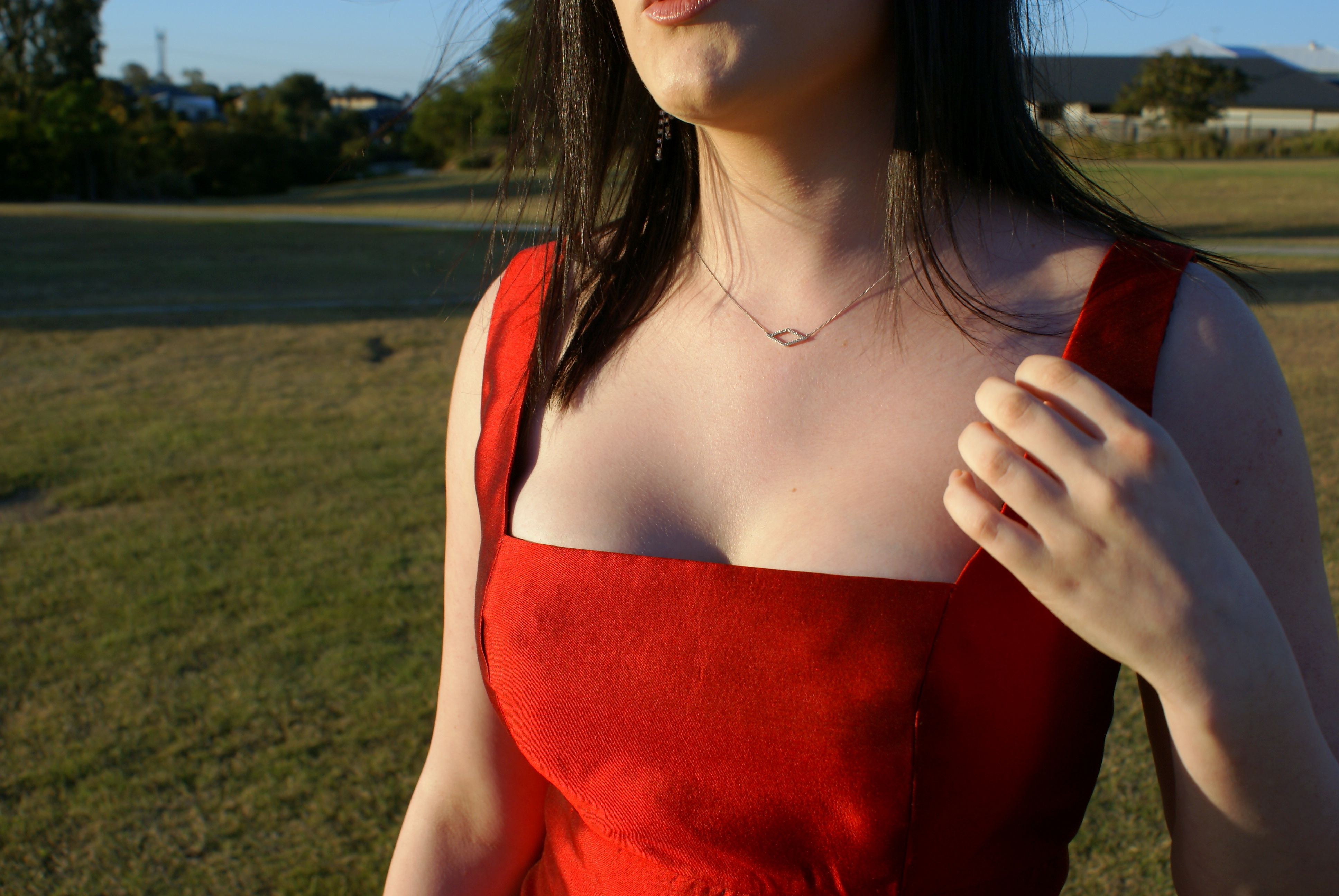 Tulip Party Dress content media