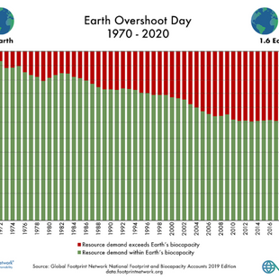 Anche quest’anno abbiamo aperto un mutuo con la Terra