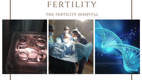 What happens in implantation window?