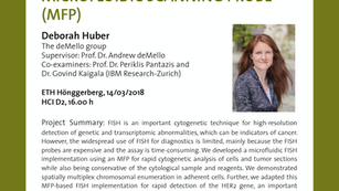 PhD public presentation by Deborah Huber