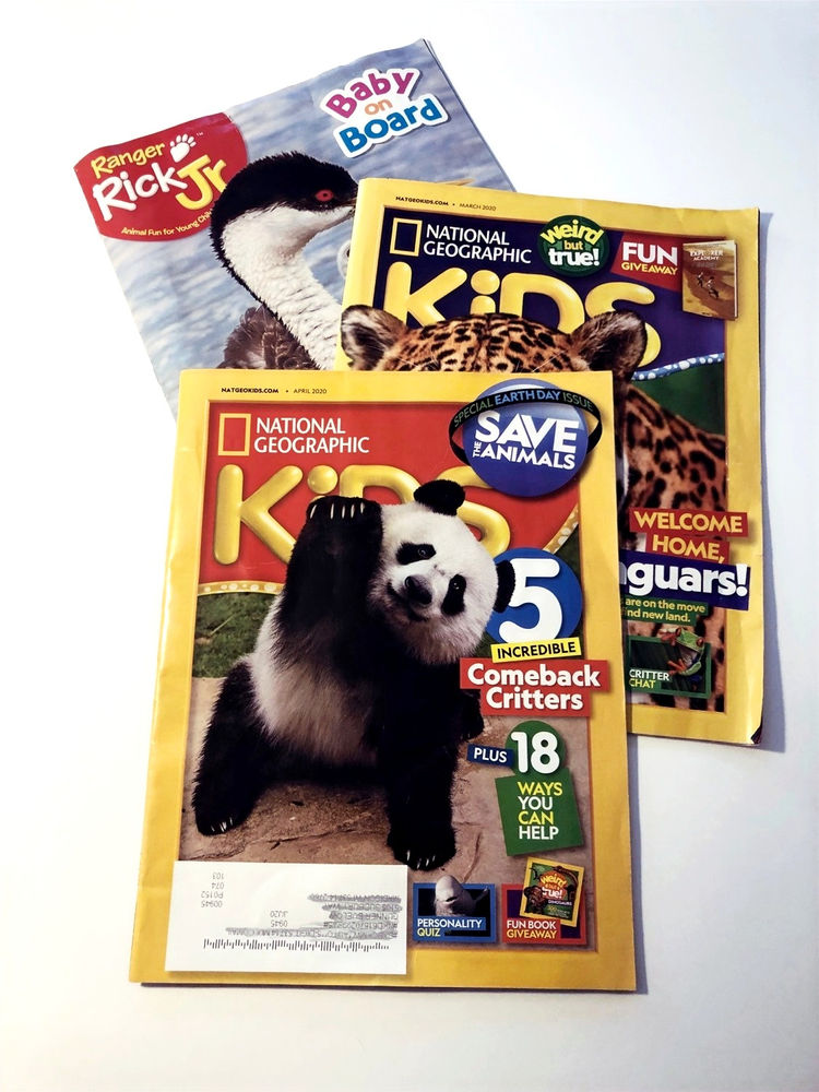 13 Zoo Inspired Homeschooling Activities