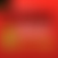 自爆我的中伏血淚史:會計公司 稅務代表