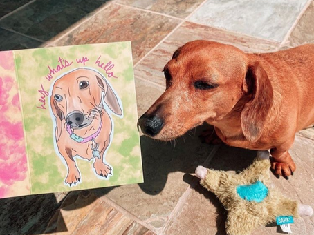 Kya Admires Her Procreate Portrait