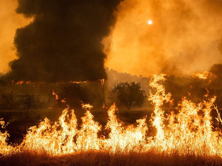 Apple fará doação para apoiar esforços locais de combate a incêndios florestais na Califórnia