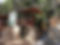 Camping Rifort (Cat. 2ª)