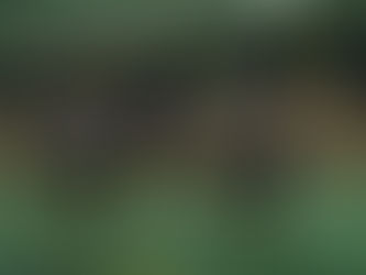 „Pfuhl“minanter Auftritt der Herren 1