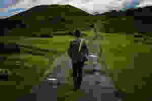 camino,, decisión, camino correcto, dirección correcta, sé el jefe, hectorrc.com