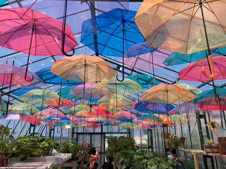 Botanicalshop&FarmersCafe Ca-Ga