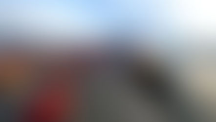 Rosana Valle pede volta das medidas restritivas da Polícia Federal no Porto