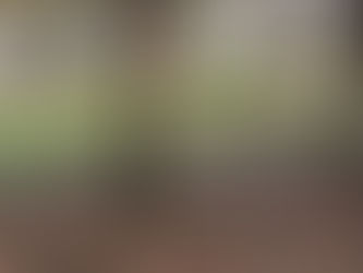 做自己心中園地的主人