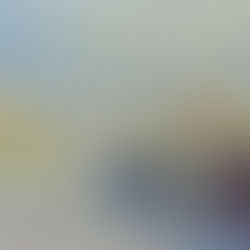 Richard Heintz, Le Pont de Fragnée à Liège (Exposition universelle de 1905), Collection privée