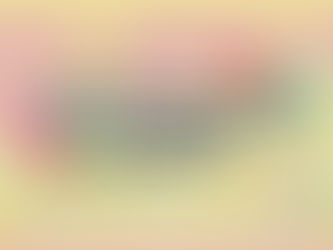 代購合作會員制度改動 PAPA K國際物流運輸