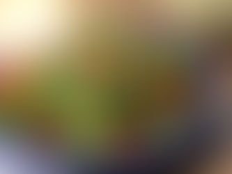 Kale Salad in Bacon Vinaigrette