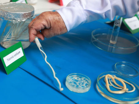 Conoce los síntomas de la enfermedad causada por la tenia porcina

