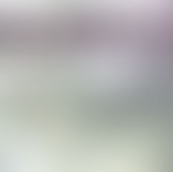 Review Party - "Il fiore del vento" di Mariarosaria Guarino e Annamaria Bosco