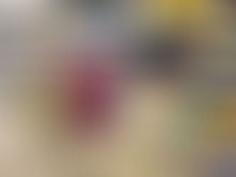 新西蘭媽媽每周100紐元喂飽一家四口